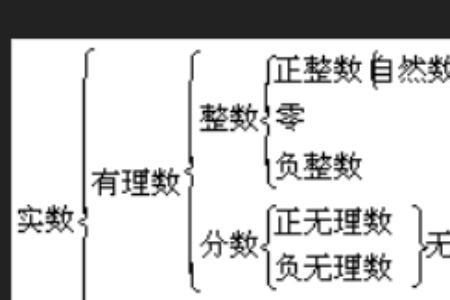 实数集包括正实数和负实数