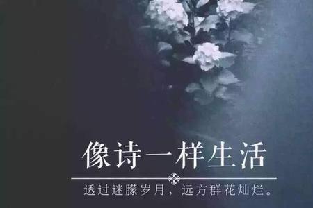 诗和远方都很贵是什么意思