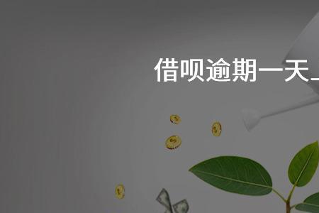 小赢逾期一天上征信吗