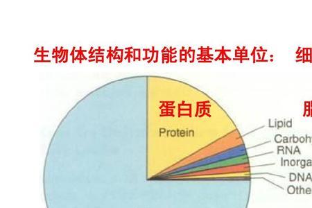 绝对含量和相对含量的区别