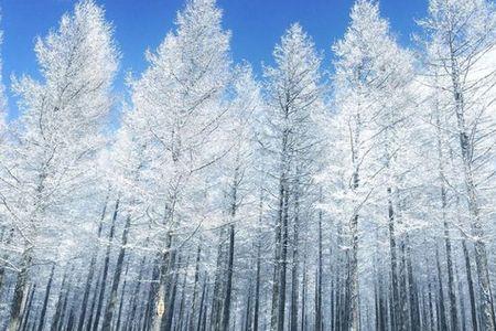 12月哪里看雪最美