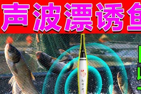 超声波浮漂有用吗