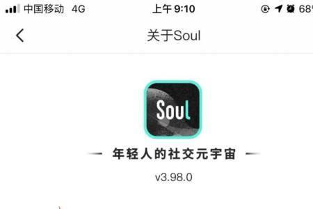 soul可以看到个人隐私吗