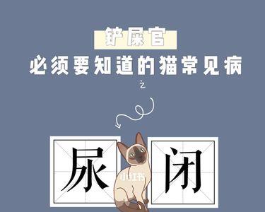 尿闭猫咪要背几天尿袋