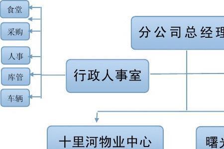 什么类型的公司为企业服务