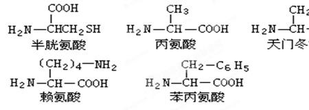 羧基水解产物