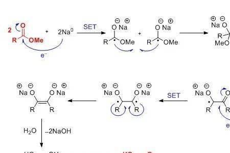 羰基生物和碳基生物区别