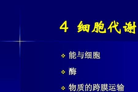 动物细胞都有呼吸酶吗