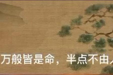 一切皆是命半点不由人下一句