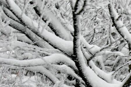 飞雪怡情的意思