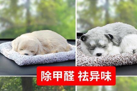 猫咪吸甲醛会怎么样