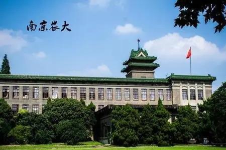 南京大学医学院是985还是211