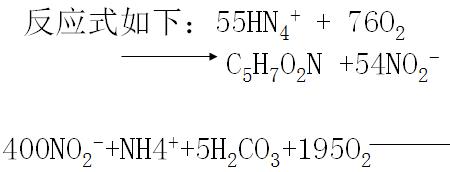 铵根的氧化物的化学式