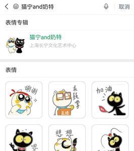 网上聊天猫宁是什么意思