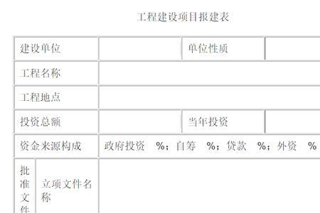 项目产出情况怎么写