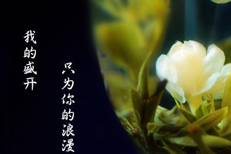 夏天喝茉莉花茶和龙井哪个好