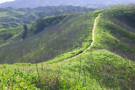 什么山坡开满什么野花填空