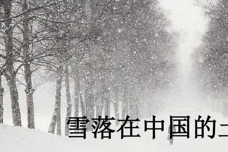 雪落在中国的土地上写作手法