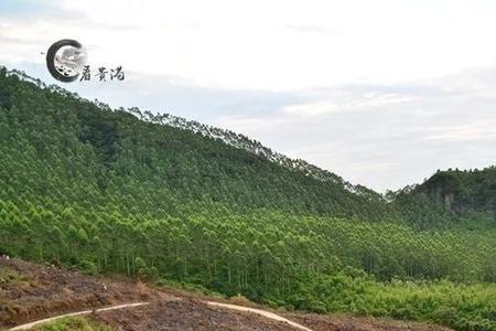 贵港岭蒙水库有多少亩