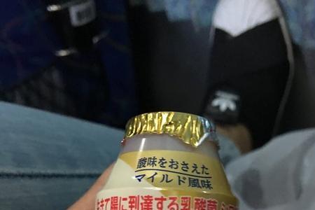 小样乳酸菌和养乐多哪个好