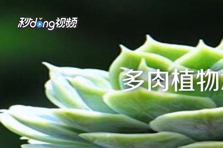 为什么植物都疏水