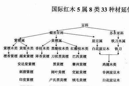 陈贵宝属于红木吗