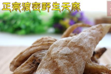 麻贵为什么叫麻虎