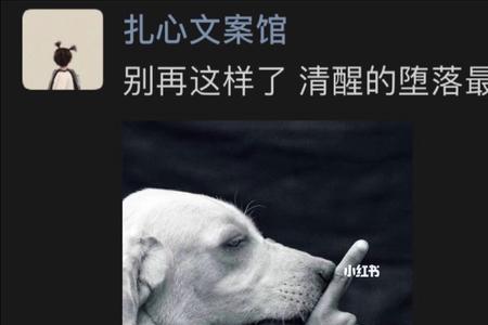 清醒的堕落什么意思