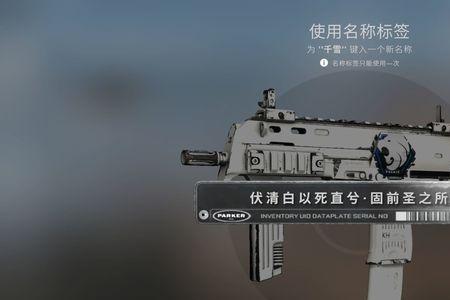 csgo改名卡最长多少个字