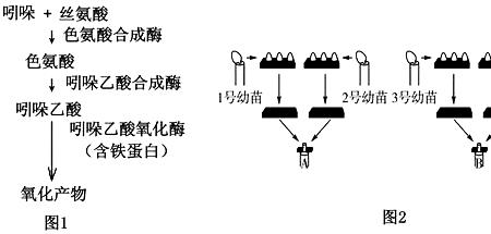 赤霉素和生长素可用什么替代