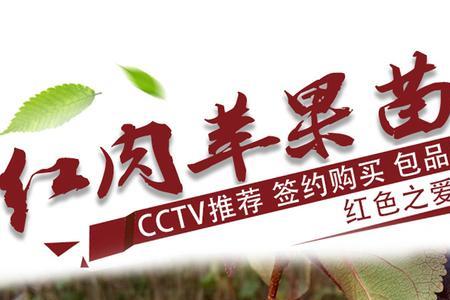 红心苹果又名叫啥