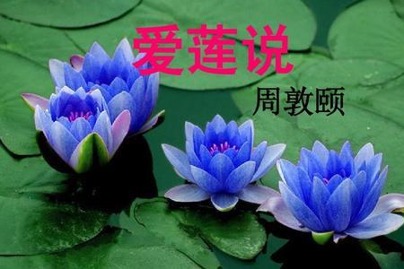 爱莲说三种花的特点