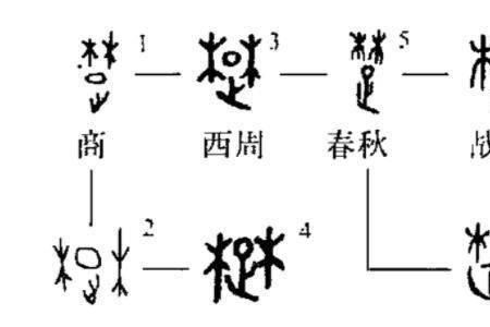 荆甲骨文