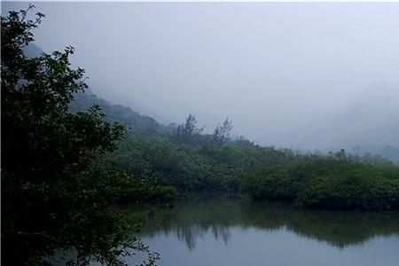 朦胧细雨是什么意思