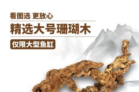 珊瑚沉木是什么