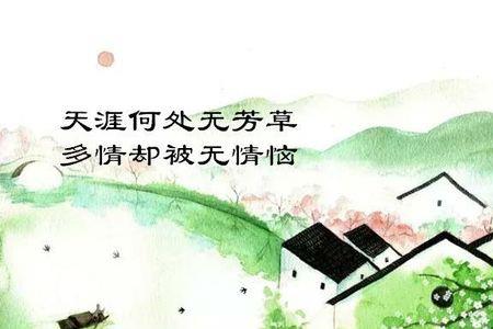 是你太冷漠诗词