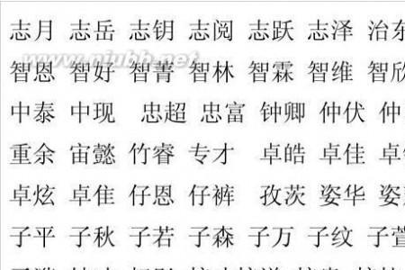 男孩想取个中间带嘉字的名字