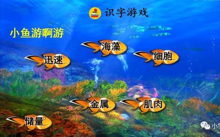 海底世界课文中巴是什么意思