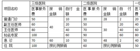 挂号费60元什么意思