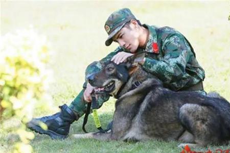 神犬奇兵郭有东是谁演的