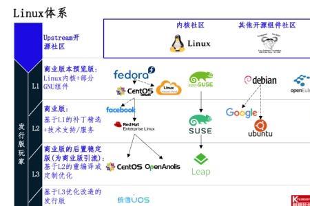 全面化什么意思