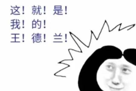 丁文元是回族吗