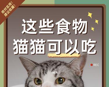 金荔枝猫可以吃吗