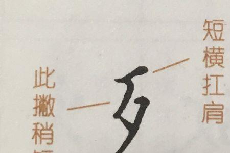 月字旁右边一个力字读啥