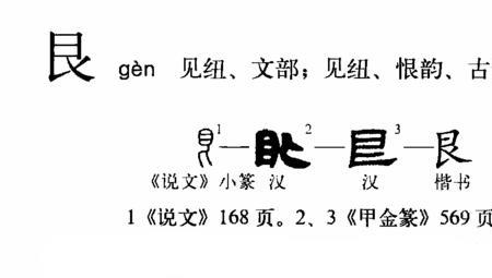 太艮了什么意思