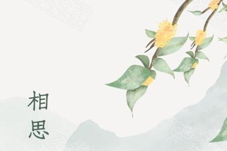 关于思念长的古诗词