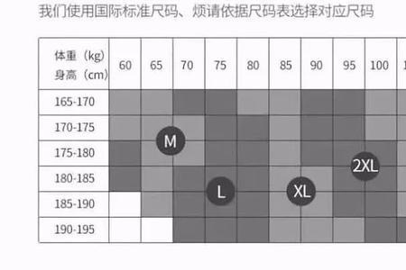 36臀围是多大码