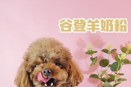 幼犬喝羊奶粉要喝到几个月大