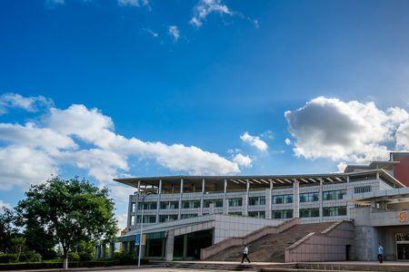 吉林大学和青岛科技大学哪个好