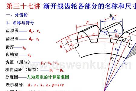 牙顶圆和牙底圆是什么意思